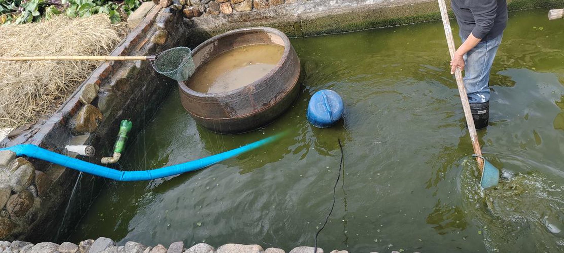抓抓鱼网络科技